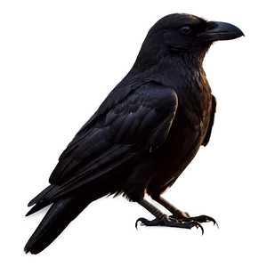 Crow Silhouette Sunset PNG 19 PNG