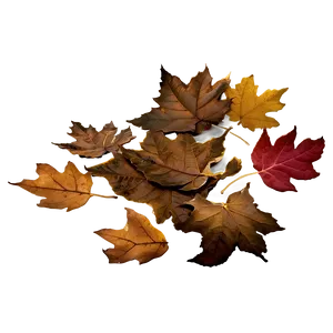 Crumbled Fall Leaves Png 05042024 PNG image