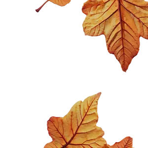 Crumbled Fall Leaves Png 05042024 PNG image