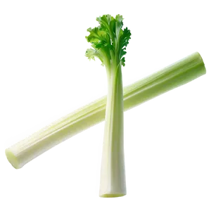 Crunchy Celery Png 06252024 PNG image