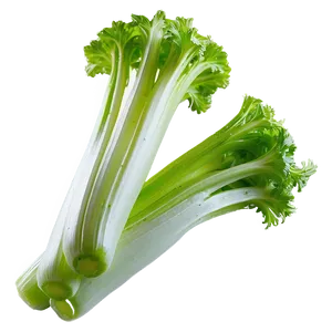Crunchy Celery PNG Wqs71 PNG