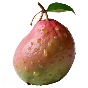 Crunchy Guava PNG 10