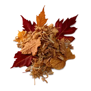 Crunchy Leaves Heap Png 06212024 PNG image