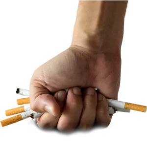 Crushed Cigarettesin Hand PNG