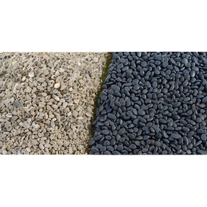 Crushed Gravel Pathway Png 54 PNG image