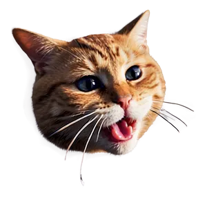 Crying Cat Emoji Png 06132024 PNG image