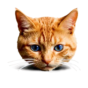 Crying Orange Tabby Cat Png 70 PNG image