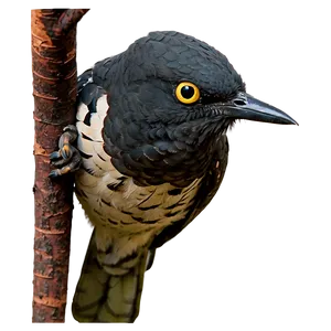 Cuckoo Bird Forest PNG Wpd74