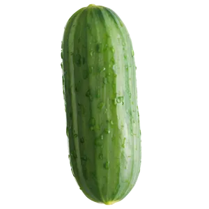 Cucumber And Mint PNG Qdf62 PNG
