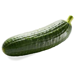 Cucumber Boat PNG 05242024 PNG