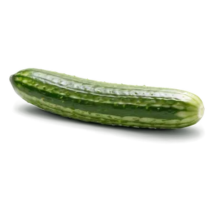 Cucumber Boat PNG 05242024 PNG