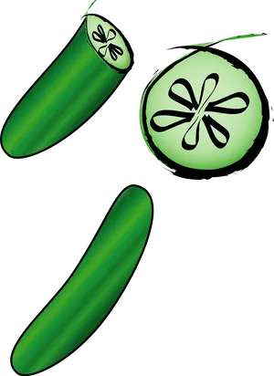 Cucumber_ Illustration_ Vector PNG image