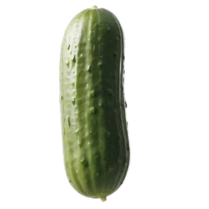 Cucumber On Vine PNG 05242024