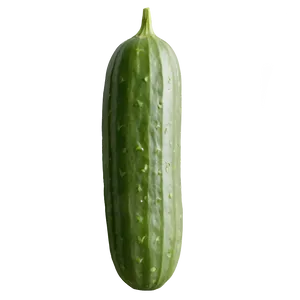 Cucumber On Vine PNG 7