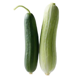 Cucumber Seedling PNG Jhy