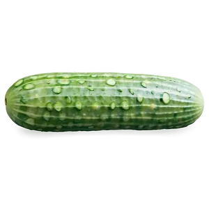 Cucumber Skin Texture PNG 05242024 PNG