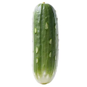 Cucumber Sunburn PNG Dci90 PNG