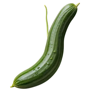 Cucumber Vine Climbing PNG Het PNG