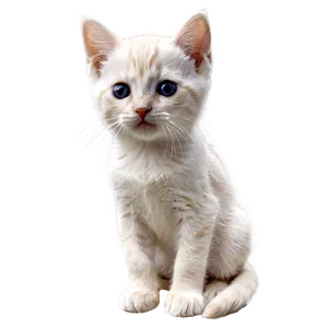 Cuddly Kitten PNG Dul67