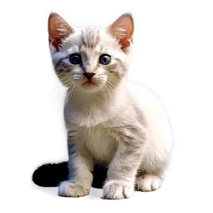 Cuddly Kitten PNG Ofj