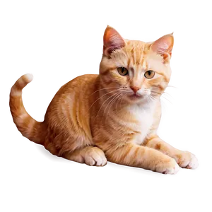 Cuddly Kitty Pose Png Xaj PNG image