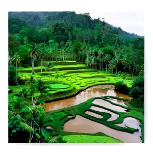 Cultural Landscapes PNG Orm PNG