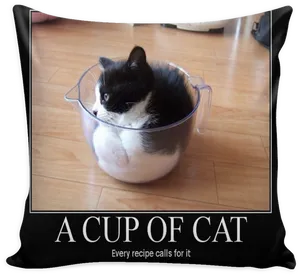 Cupof Cat Meme
