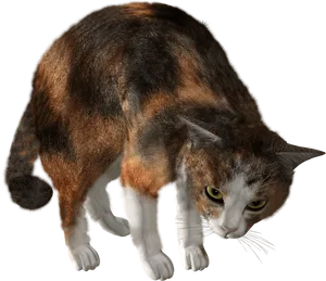 Curious Cat Peering Downward PNG image