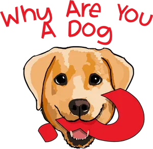 Curious Dog With Question Mark PNG image