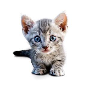 Curious Grey Kitten PNG Jkb4 PNG