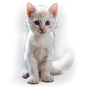 Curious Kitten PNG 05232024