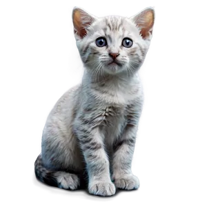 Curious Kitten PNG 39