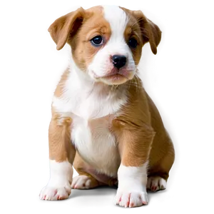 Curious Puppy PNG Llb PNG