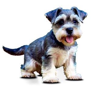 Curious Schnauzer Puppy PNG Skb PNG