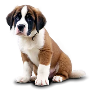 Curious St Bernard Puppy Eyes PNG Gpp54 PNG