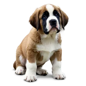 Curious St Bernard Puppy Eyes PNG Hgq87 PNG