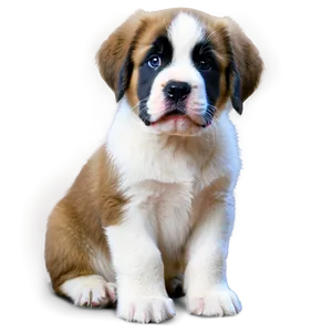 Curious St Bernard Puppy Eyes PNG Nkq PNG