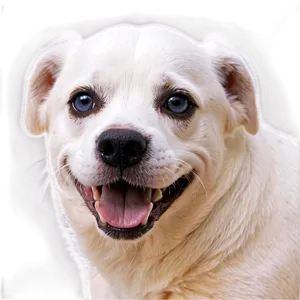 Curious White Dog Png Tgk60 PNG image