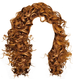 Curly Auburn Hairstyle Art