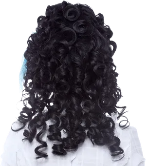 Curly Black Wig Back View PNG image