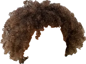 Curly Brown Hair Texture PNG image