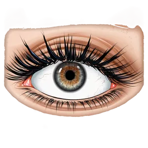 Curly Eyelashes Png 78 PNG image