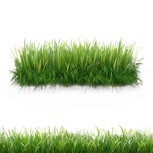 Curly Grass Texture Png Pbp PNG image