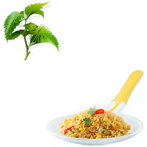 Curry Fried Rice PNG Lpt PNG