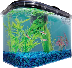 Curved Aquariumwith Fishand Plants.png PNG image