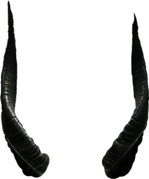 Curved Black Horns PNG image