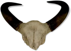 Curved Goat Horns PNG