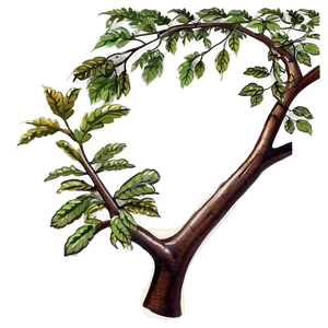 Curved Tree Branch Png 23 PNG image