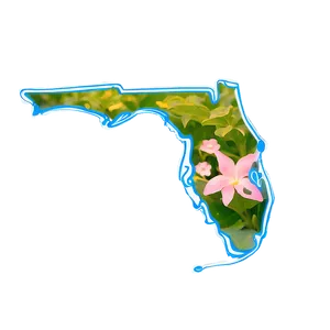 Custom Florida Shape Outline PNG 06122024 PNG
