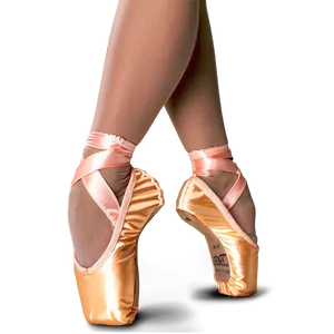 Custom Pointe Shoes Png Hed PNG image